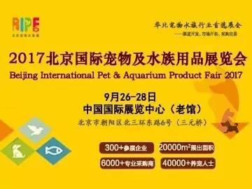 新奥门特免费资料大全7456,最新解答方案_苹果85.674