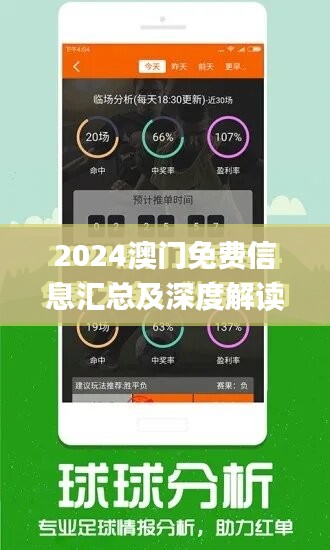 2024新澳门精准免费大全,实效性解析解读策略_精简版445.224