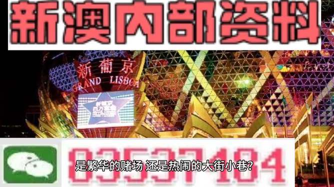 新澳门精准资料大全管家婆料,定性评估说明_8K57.527