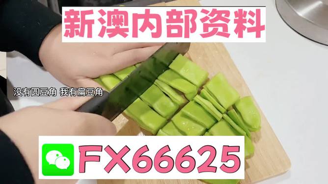 2024新澳免费资料大全penbao136,精细方案实施_tShop77.44