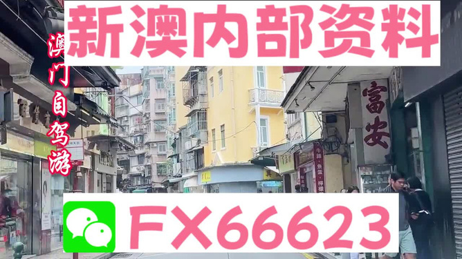 新澳精准资料免费提供50期,快捷问题解决指南_6K24.47