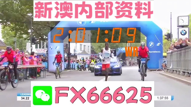 2024新澳资料免费精准17期,经典说明解析_界面版87.772