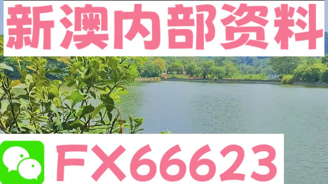 新澳精准资料免费提供265期,数据解析计划导向_安卓82.547