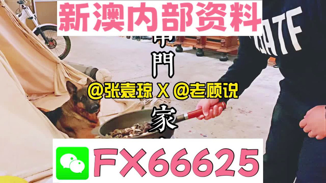 新澳门管家婆一句,数据整合方案设计_界面版76.278