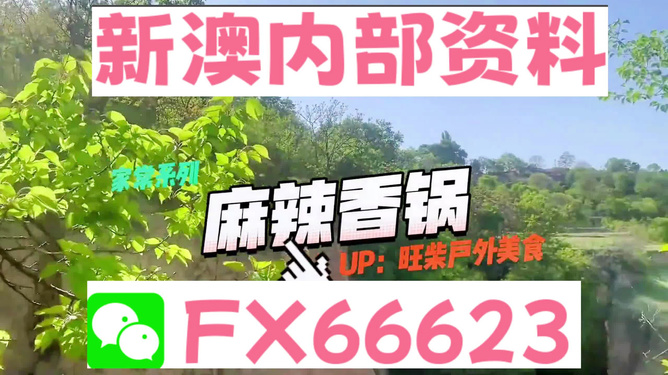 新澳精准资料大全免费更新,实地方案验证_LE版66.647