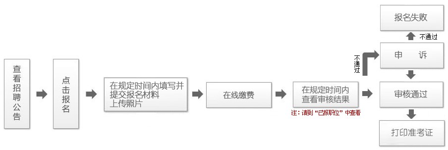 事业单位报名流程详细步骤,调整方案执行细节_挑战版24.275