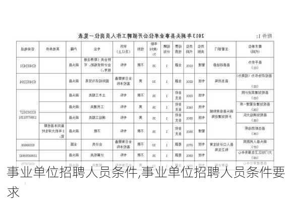 事业编招录条件全面解析