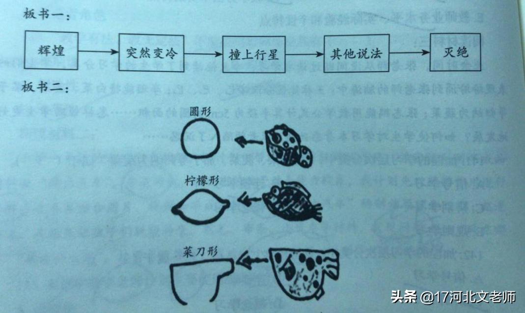 事业单位考试真题研究，第九篇章深度解析