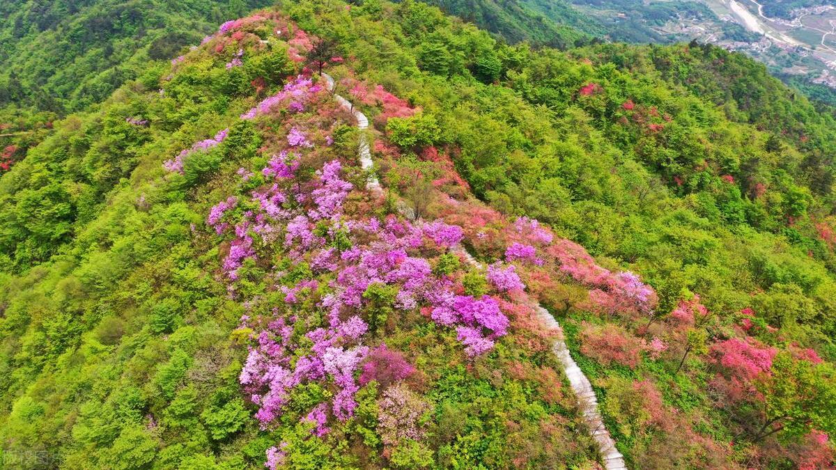 事业单位考试题库及答案免费获取途径汇总