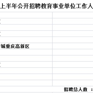 重庆市事业单位招聘官网深度解析与探索