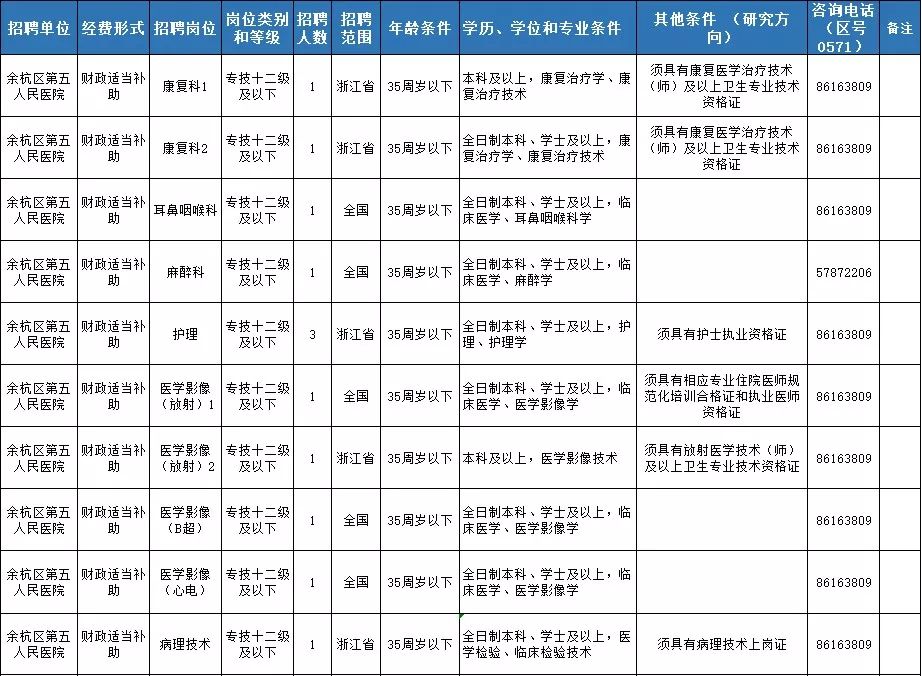 政府信息技术岗位角色职责与发展策略解析