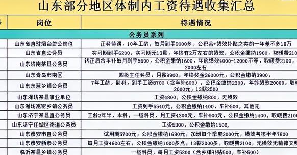 事业编财务岗待遇全面解析与深度探讨