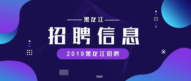 中公招聘官网，人才与机会的桥梁