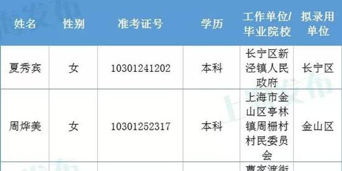 上海公务员录用公示，公开透明与责任担当的展现