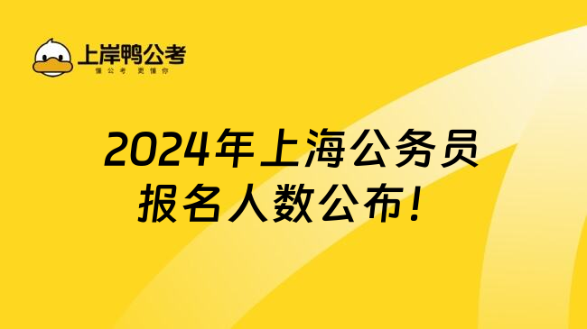 上海公务员查询一站式服务，轻松把握个人职业发展信息