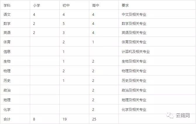 公务员信息技术职位招聘启事，专业技能与资格要求详解