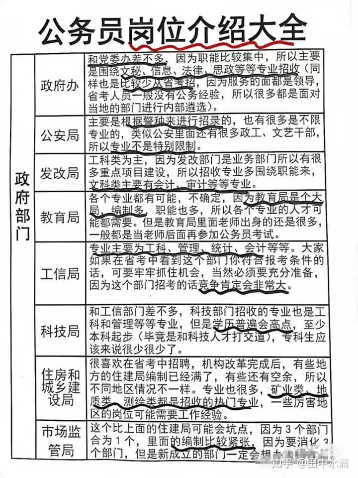 信息技术类公务员岗位，职责、要求与未来展望