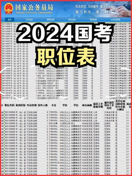 国家公务员职位表2024展望与深度解析