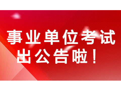 事业单位公开招聘平台，构建高效透明招聘体系