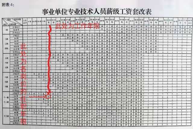 事业编专业技术岗财务职称，探索与解析指南