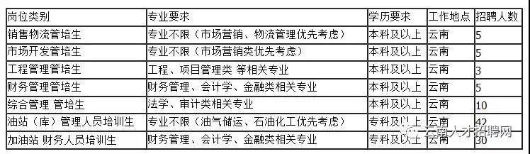 事业单位招聘程序规定及其重要性解析