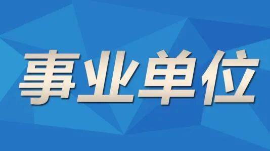 事业单位招聘综合考察方式与过程深度解析