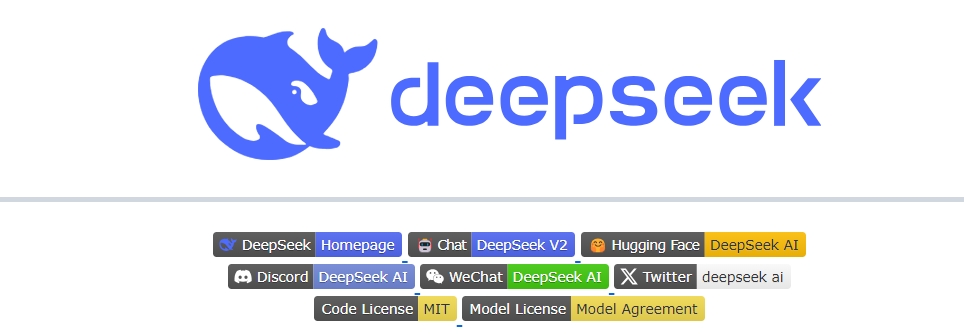 DeepSeek，小力创造奇迹时刻